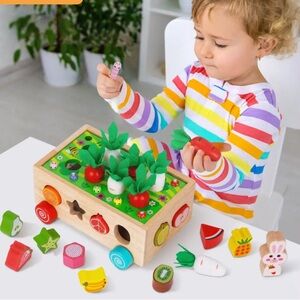 Montessori Carrot Wheels